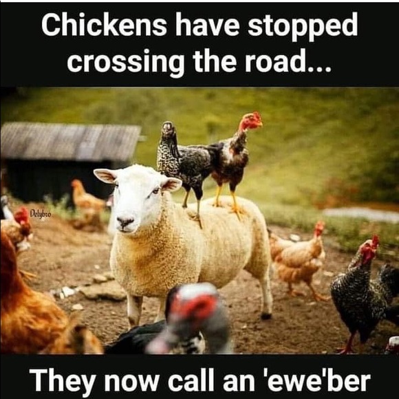 Meet your Posher, WF - Picture 1 of 1